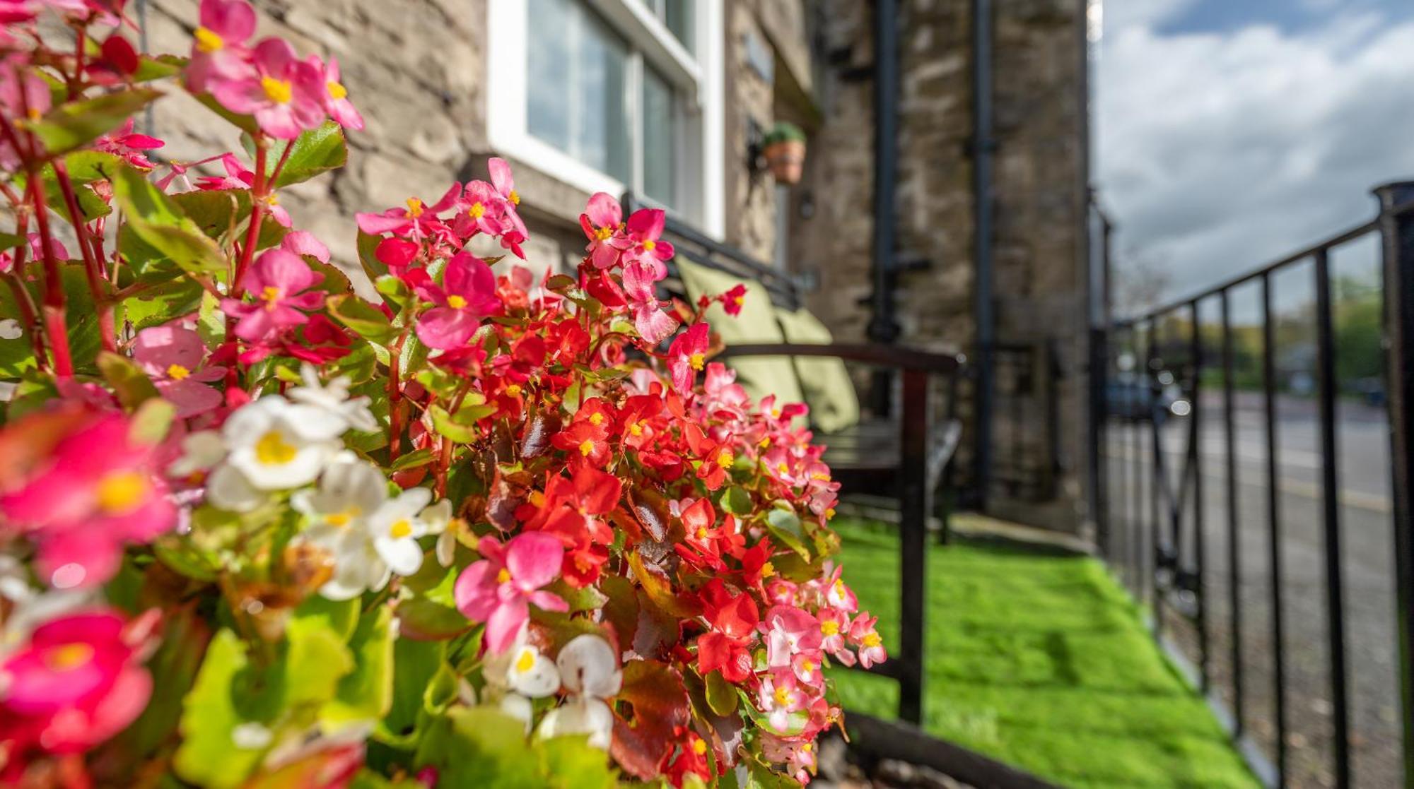 Wee Toad Hole Heart Of Kendal - Cottage Sleeps 4-6 - Dogs Welcome Экстерьер фото